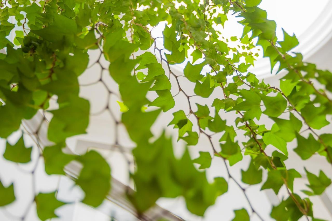 Casa Da Hera - The Ivy House Porto Ngoại thất bức ảnh